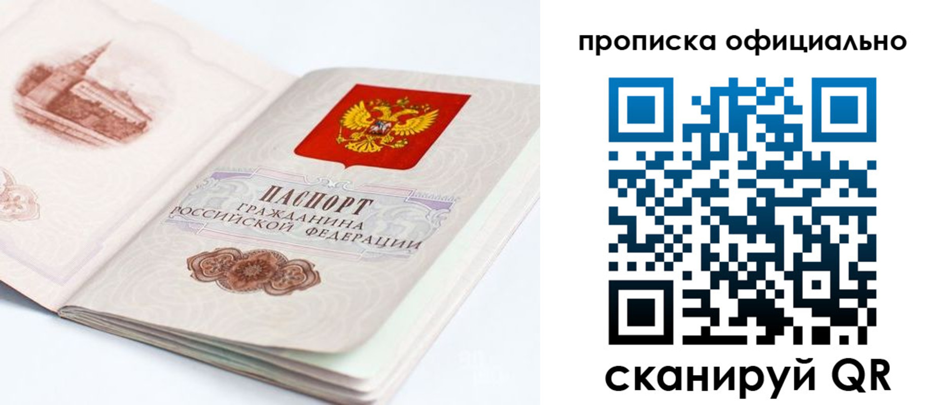 временная регистрация надежно в Волосово